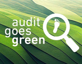 audit_goes_green_Bhne